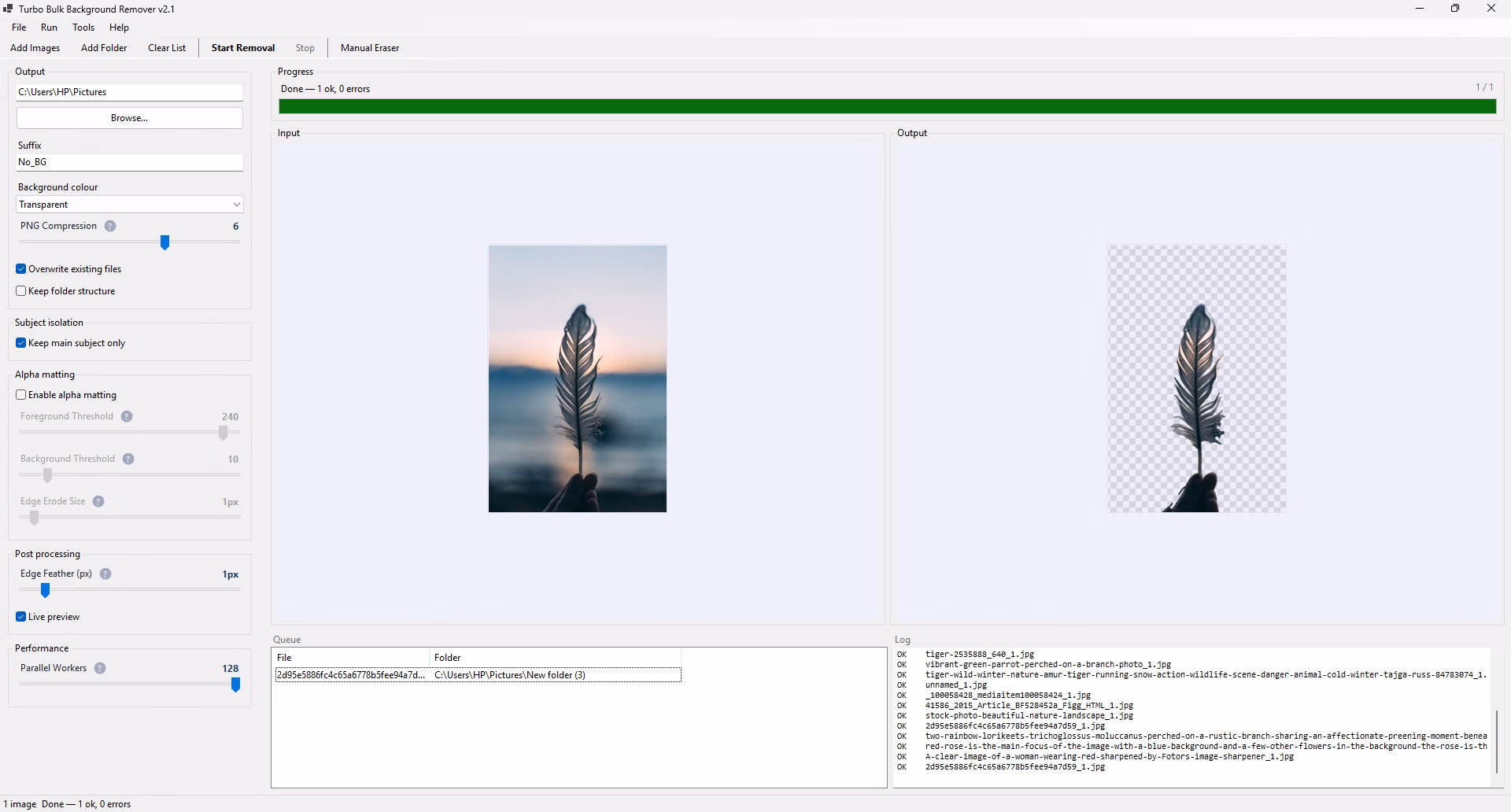 Turbo Bulk Background Remover main window and batch queue