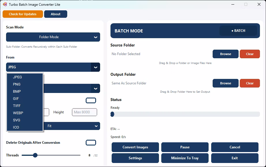 Input Format Selection