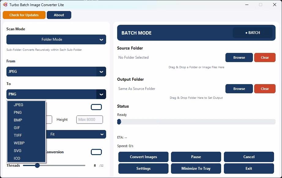 Output Format Selection