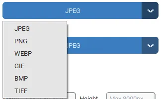 Batch image converter and batch image resizer