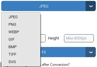 Batch image converter and batch image resizer