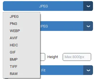 Batch image converter and batch image resizer